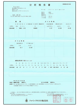 分析報告書